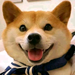 痴呆永劫无间 头像