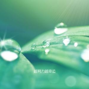 实干也兴家