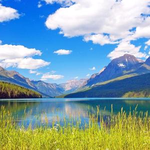 博览群书名 头像