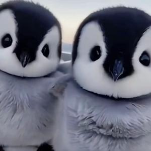 恰巧在现场 头像