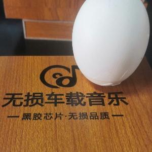 一杯过往一杯明天 头像