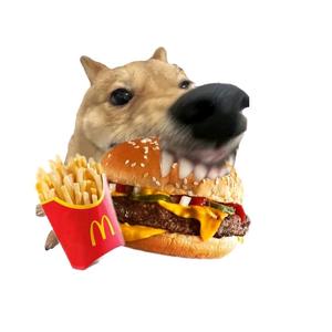 有你好果子喝 头像