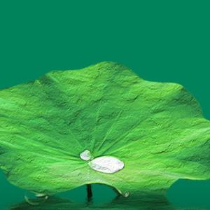 一切都付笑谈中