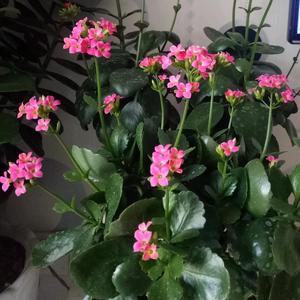 一往无前光束2 头像