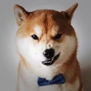 科普爆料小郎君 头像