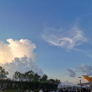 有趣的苹果KJT 头像