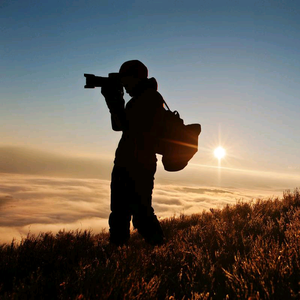 航行的小峡 头像