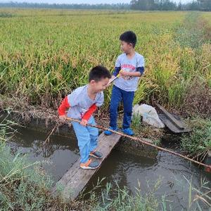 悦木Ivy陪娃成长 头像