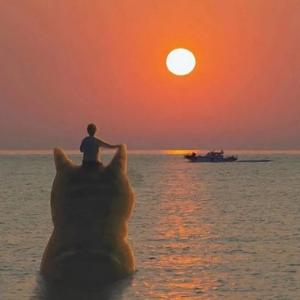 小喵生活馆 头像