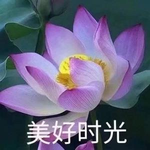 往后余生 头像