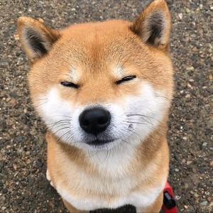 百佳故事汇 头像