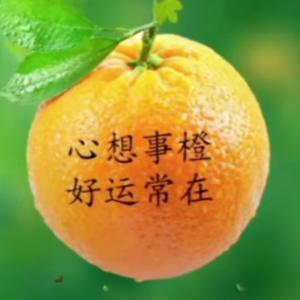 幸福开心Y
