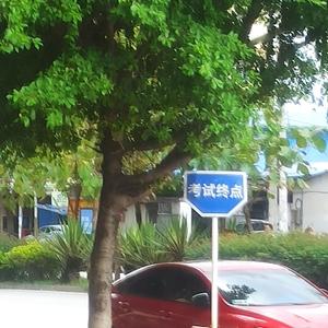 芝麻开门之猪猪 头像