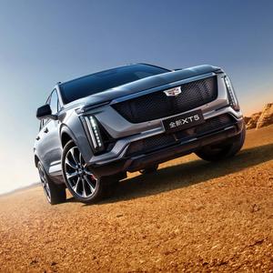 巡山的老妖 头像