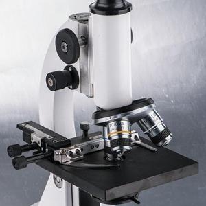 芊芊时尚园艺 头像