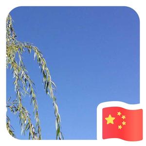 我自清新 头像