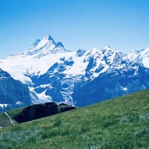 髮白祁连雪 头像