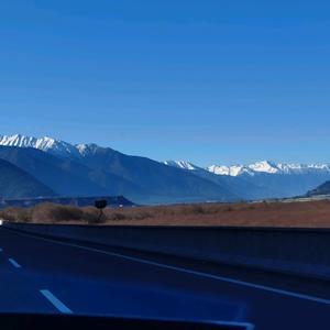 热情的阳光hqr 头像