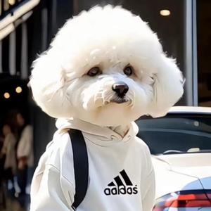 晟奥萌宠乐园 头像