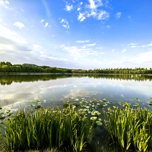 武威重离子中心 头像
