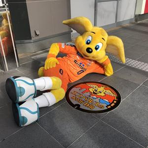 听说读的乐趣 头像