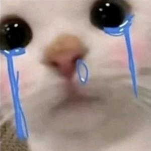 一叶知秋a丶 头像