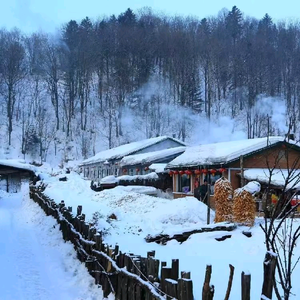 暂时没想好名字 头像