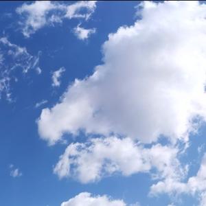 普通人普通的一天 头像