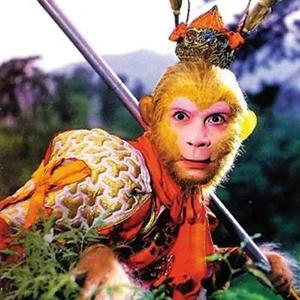 金钱豹狩猎者 头像