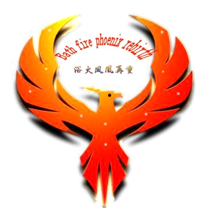 浴火凤凰再重生