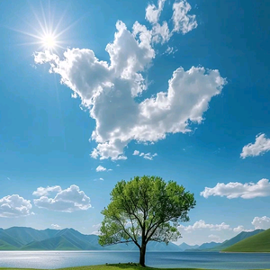 JX静以养心 头像