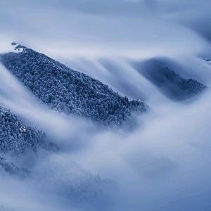 冰山雪莲9X5f 头像