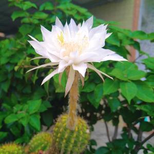 人性装修设计 头像