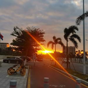 直爽的灿烂生活家 头像