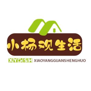 小杨观生活 头像