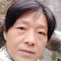 竹蔭覆窗
