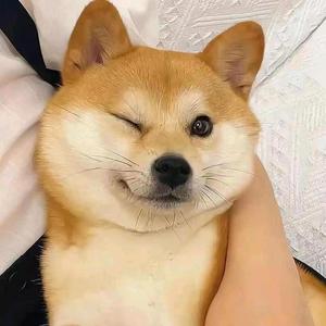 三少爷的百科全说 头像