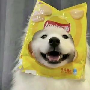 芋泥小娱 头像