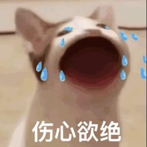 表里如一萌娃一号 头像