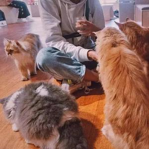 科技德温9V5C 头像