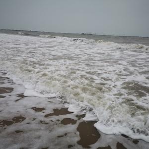 v闲聊天下事 头像