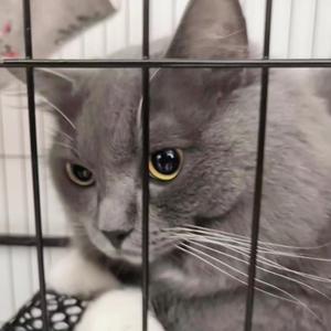 小林科普u 头像