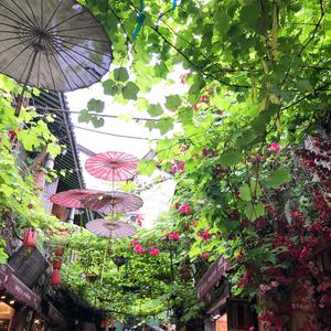 饭饭要大碗 头像