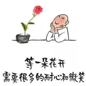 无忧小浩哥 头像