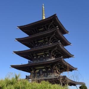 教育之姚言 头像