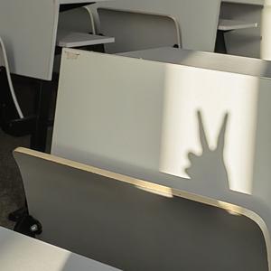 林宁恨死折耳根版 头像