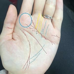 王老师看手相 头像