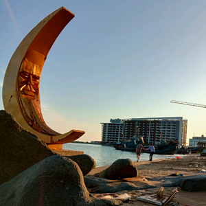 一只土鸡飞上天 头像