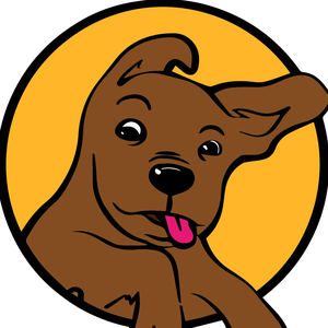 萌宠又二了 头像