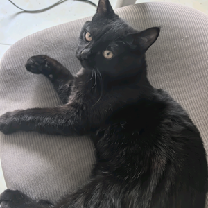 七星岩丶宇 头像